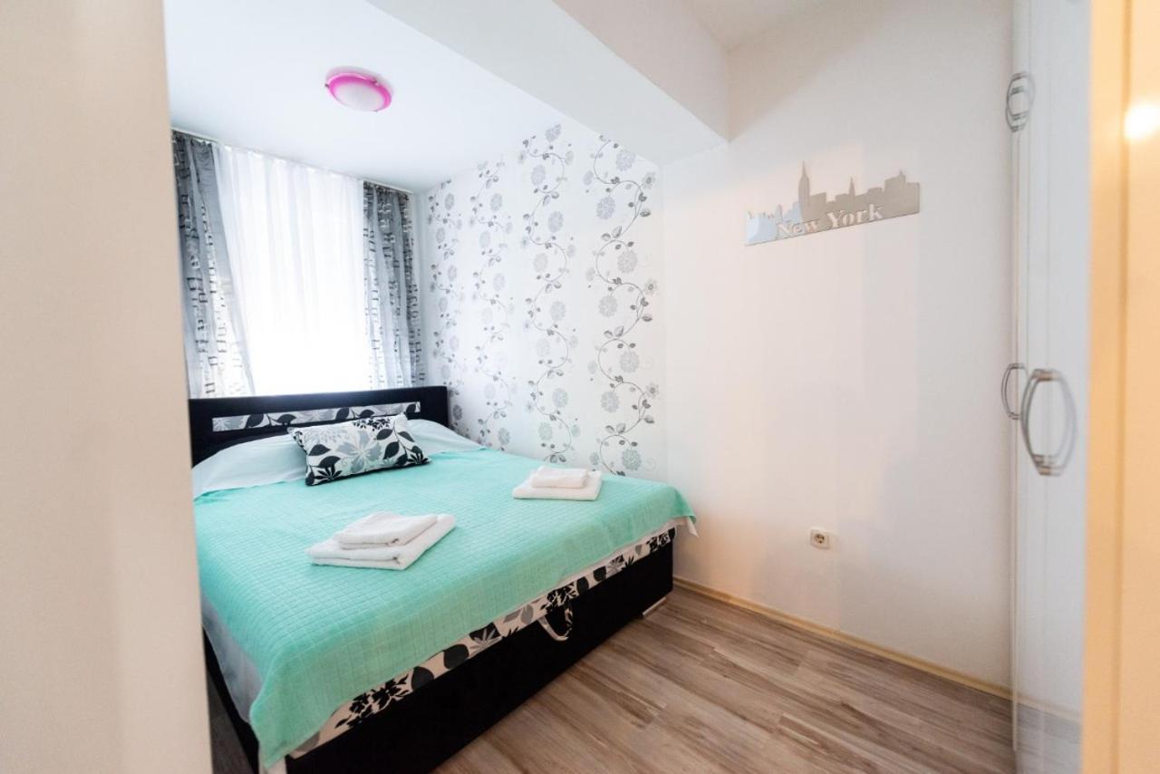 Filinhome Pasica * Novi Sad
