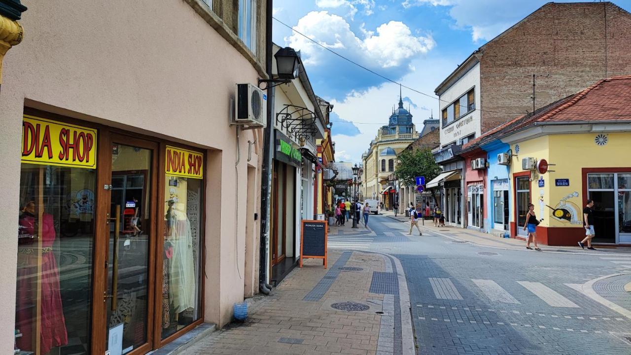Filinhome Pasica * Novi Sad