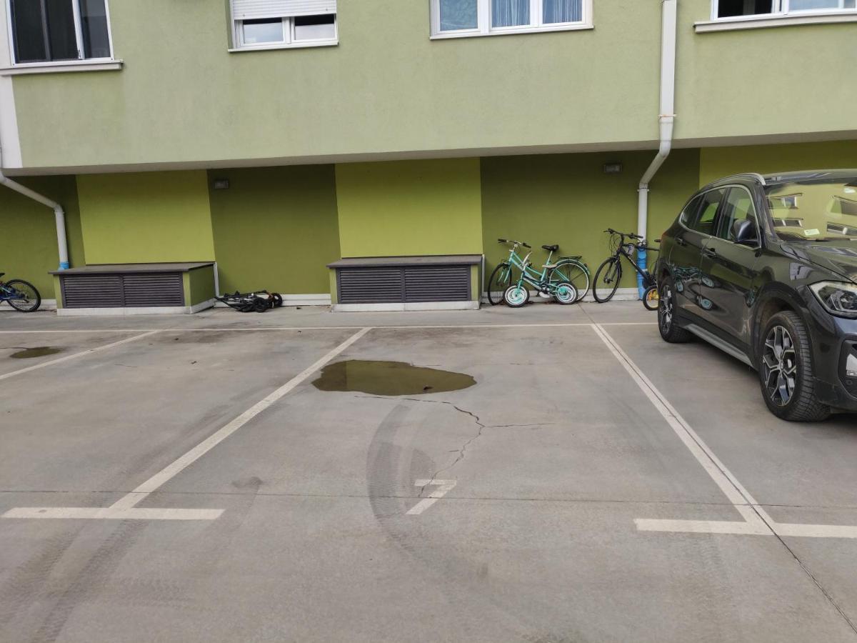 Filinhome Pasica Novi Sad